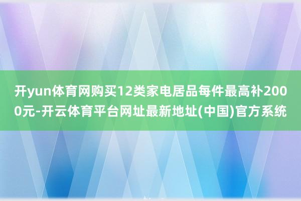 开yun体育网购买12类家电居品每件最高补2000元-开云体育平台网址最新地址(中国)官方系统