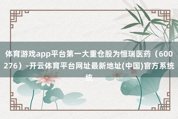 体育游戏app平台第一大重仓股为恒瑞医药（600276）-开云体育平台网址最新地址(中国)官方系统