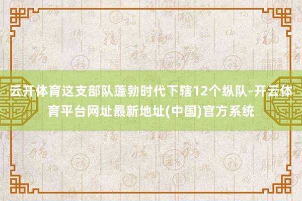 云开体育这支部队蓬勃时代下辖12个纵队-开云体育平台网址最新地址(中国)官方系统