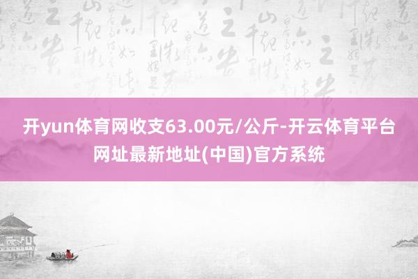 开yun体育网收支63.00元/公斤-开云体育平台网址最新地址(中国)官方系统