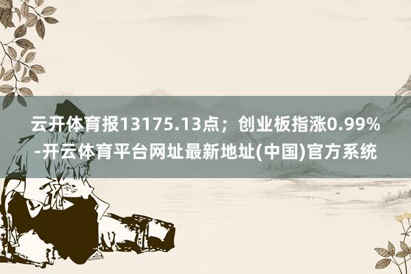 云开体育报13175.13点；创业板指涨0.99%-开云体育平台网址最新地址(中国)官方系统