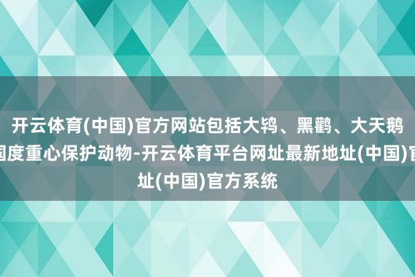 开云体育(中国)官方网站包括大鸨、黑鹳、大天鹅等多种国度重心保护动物-开云体育平台网址最新地址(中国)官方系统